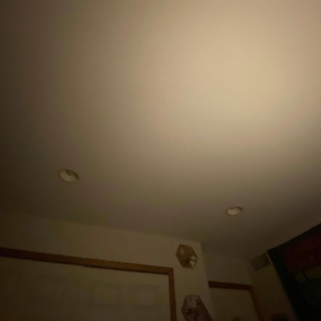The Gaslighter (SCARRING Version) cover art