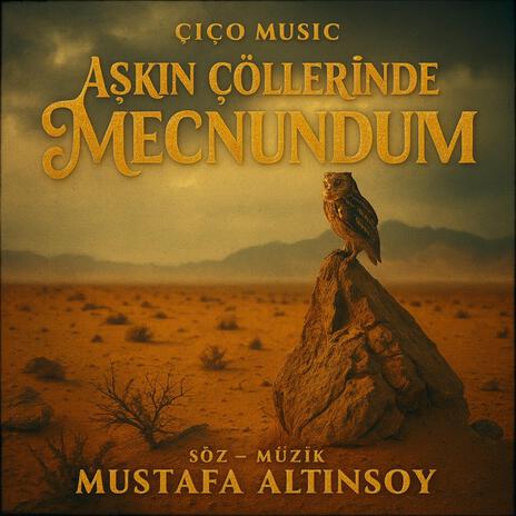 Aşkın Çöllerinde Mecnundum -Dağlarında Ferhat cover art