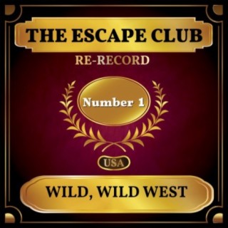 Wild, Wild West (Rerecorded) cover art