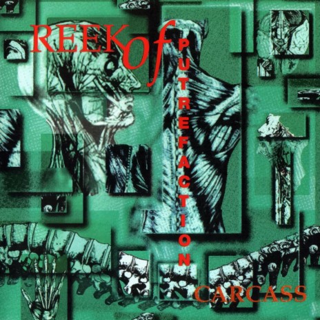 Pungent Excruciation cover art
