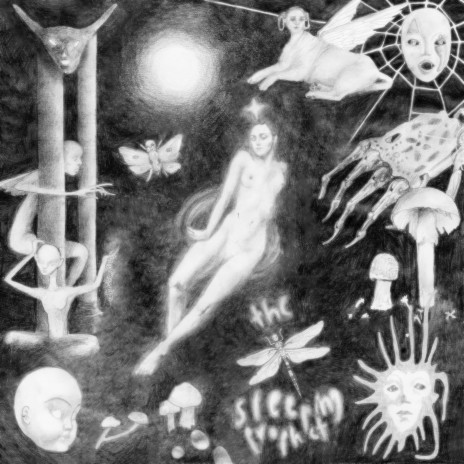 Wingless cover art