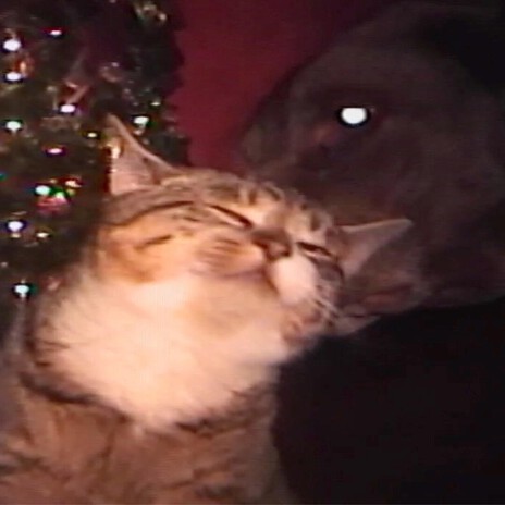 Christmas dream cover art