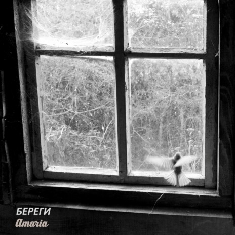 Береги cover art