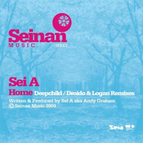 Home (Original Mix) cover art
