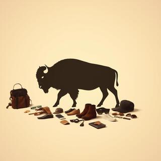 buffalo