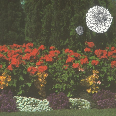 Aura Show cover art