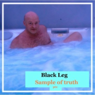 Sample of Truth, Pt. 2 cover art