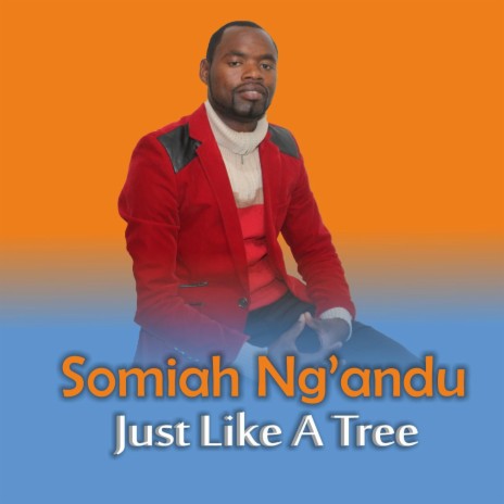 Shinganga