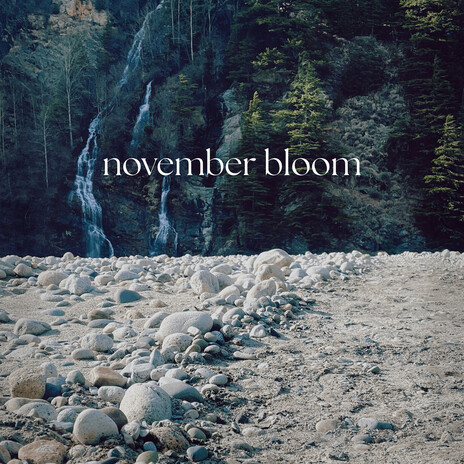 November Bloom cover art