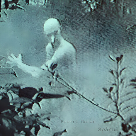 spânul (Original Mix) cover art
