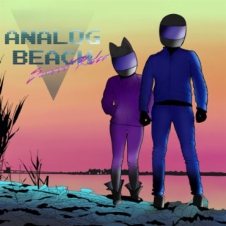 Analog Beach