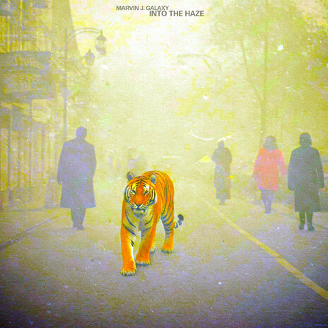 Into the Haze cover art