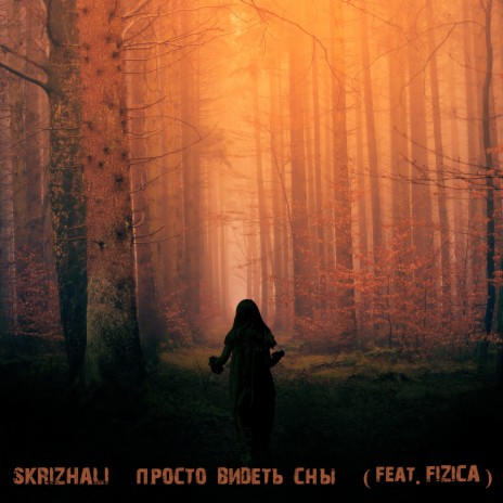 Просто видеть сны ft. Fizica cover art