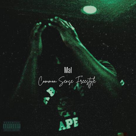 Common Sense Freestlye cover art