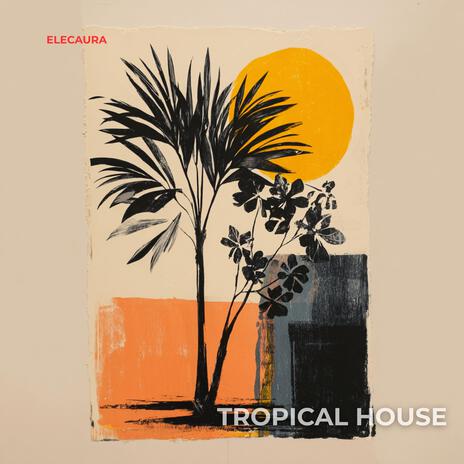 Warm Nights by the Ocean cover art