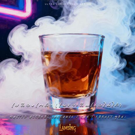 Wasted Alcohol (because I can't forget you) [Liquid DnB] cover art