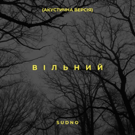 Вільний (Акустична версія) cover art