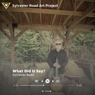 Sylvester Road