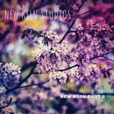 Say No! cover art