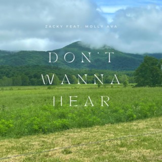 Don't Wanna Hear ft. Molly Ava cover art
