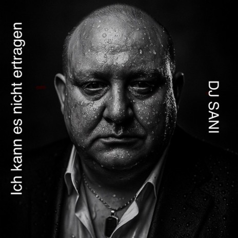 Ich Kann Es Nicht Ertragen cover art