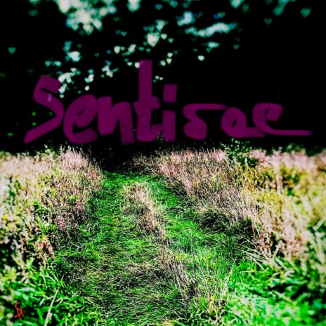 Anxietatem cover art