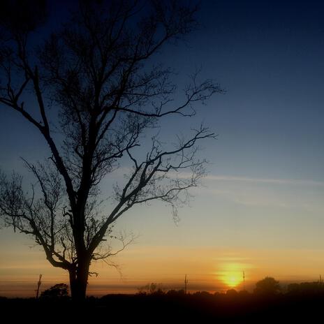 In the clearing cover art