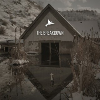 The Breakdown cover art