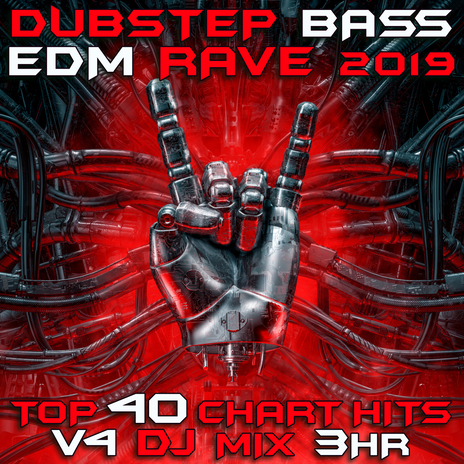 Leeroy Jenkin (Dubstep Bass EDM Rave 2020, Vol. 4 Dj Mixed) cover art