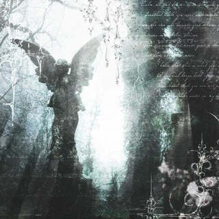 Rogue cover art