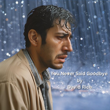 You Never Said Goodbye cover art