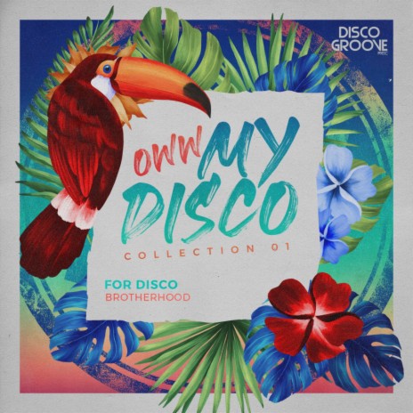 For Disco (Original Mix)