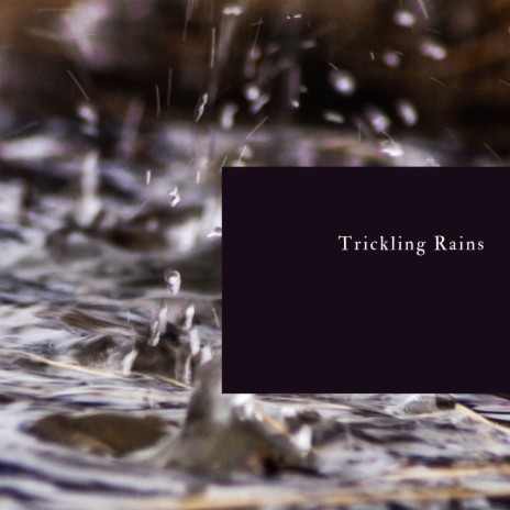 Gentle Rain with Soft White Noise (Zen Paradise)
