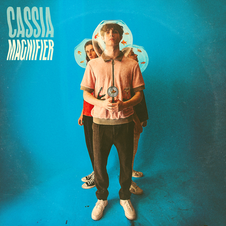 Vitamins cover art