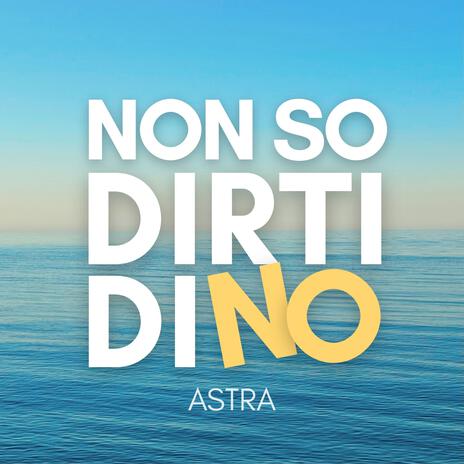 Non so dirti di no cover art