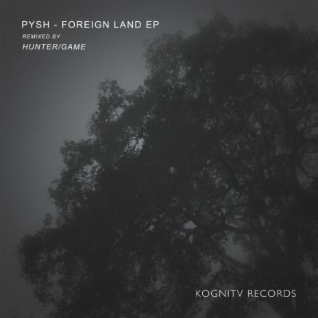 Foreign Land (Groove Edit) cover art