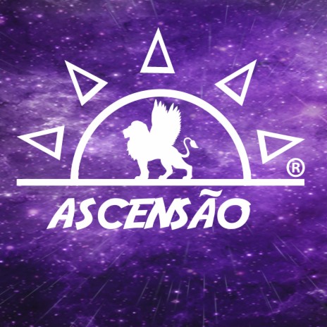 Não Posso Me Dar o Luxo de Fraquejar cover art