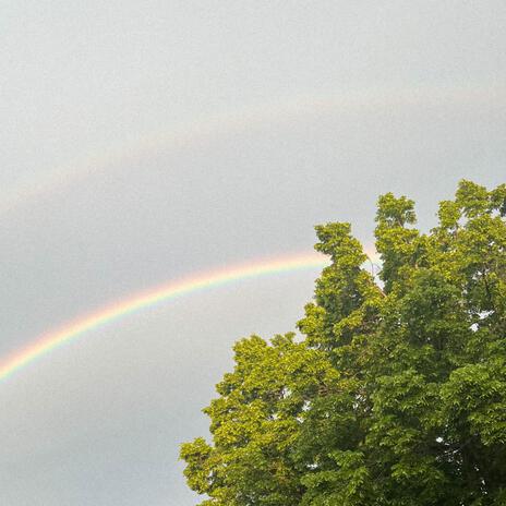 Over The Rainbow cover art