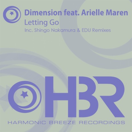 Letting Go (Original Mix) ft. Arielle Maren cover art