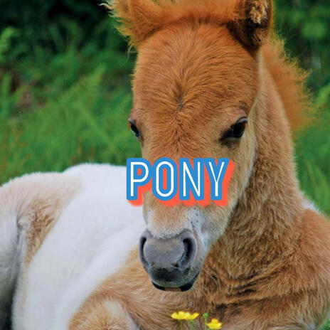Pony cover art