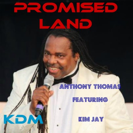 Promised Land 2013 (Sterling Void's Funkhouse Remix) ft. Kim Jay cover art