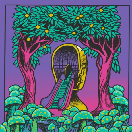 Beach Crush cover art