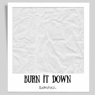 BURN IT DOWN
