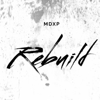 Rebuild cover art
