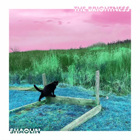The Brightness cover art
