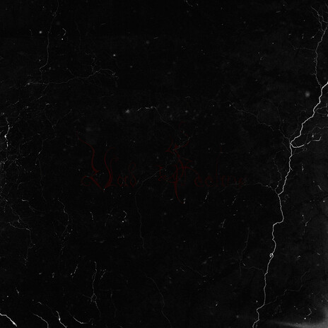 Void Feeling cover art