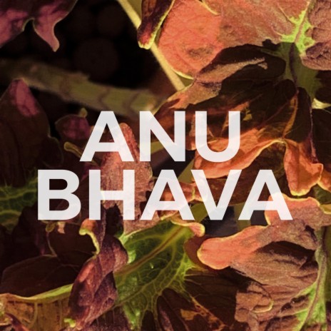 Anu cover art