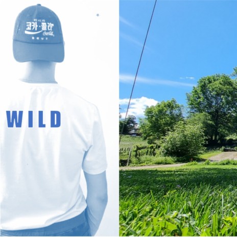 Wild