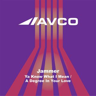Ya Know What I Mean cover art