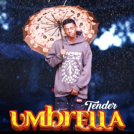 Umbrella cover art